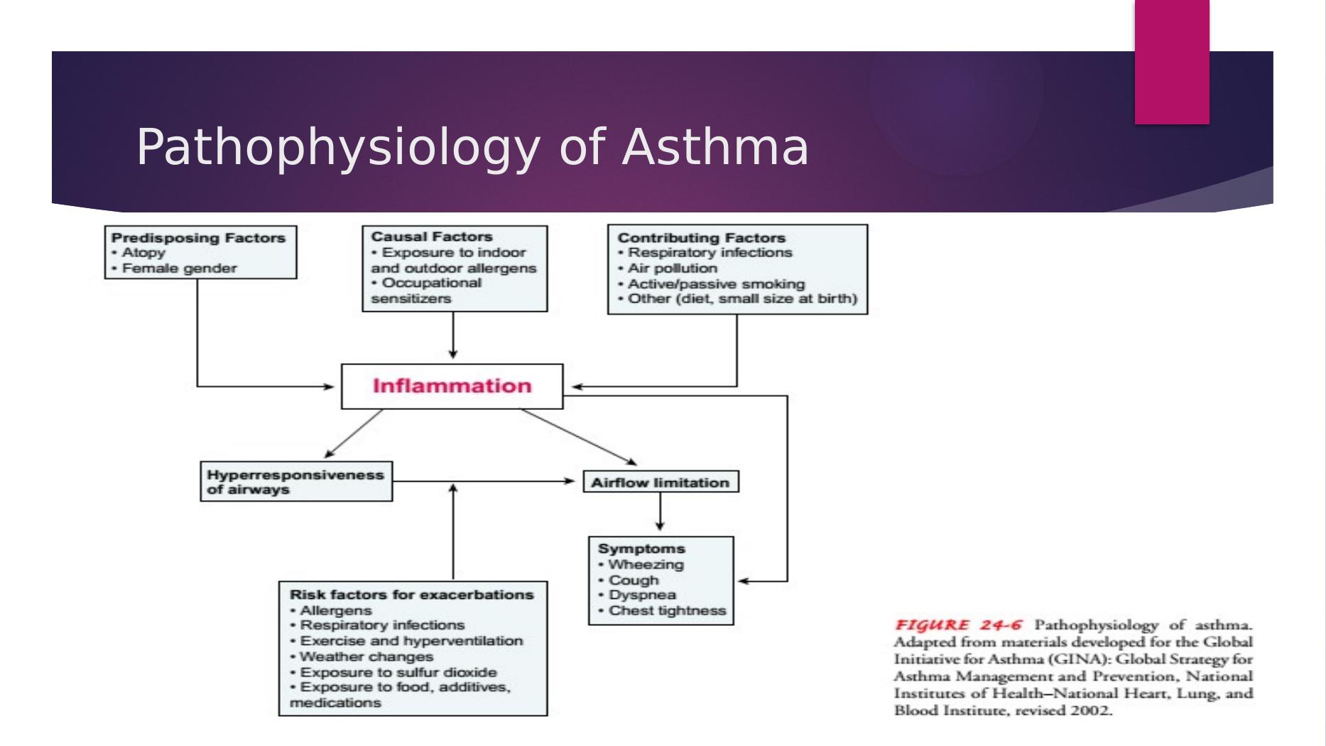 Pathophysiology of Asthma Presentation 2022