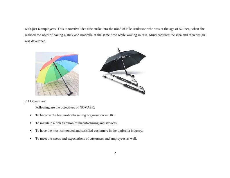 Business Plan for NOVASK: Manufacturing Umbrellas with Stick_4