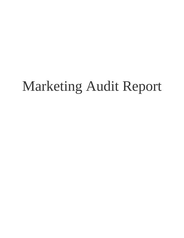 Marketing Audit Report_1