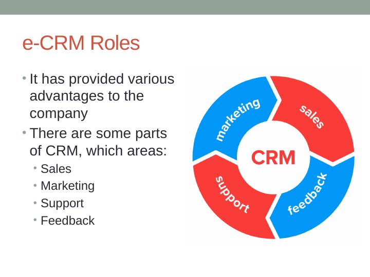 E-CRM Roles and Services: Advantages, Use, and Management_2