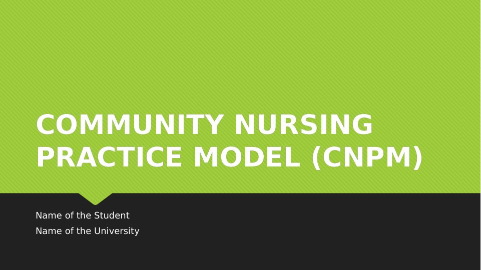 The Community Nursing Practice Model (CNPM)