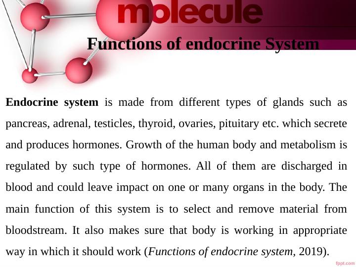 Structure and Function of the Endocrine System_4