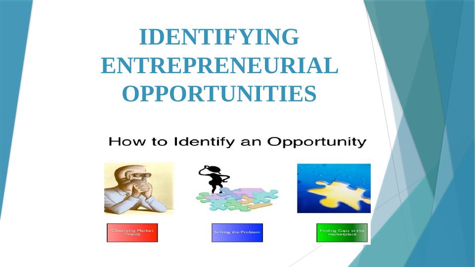 Identifying Entrepreneurial Opportunities_1
