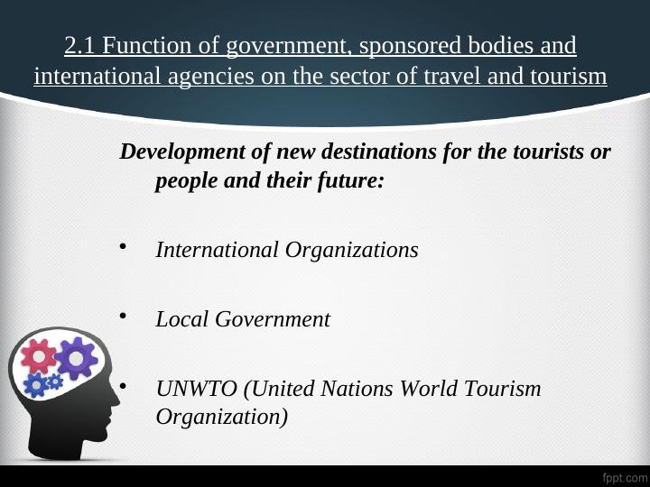 Function of government, sponsored bodies and international agencies on the sector of travel and tourism_3