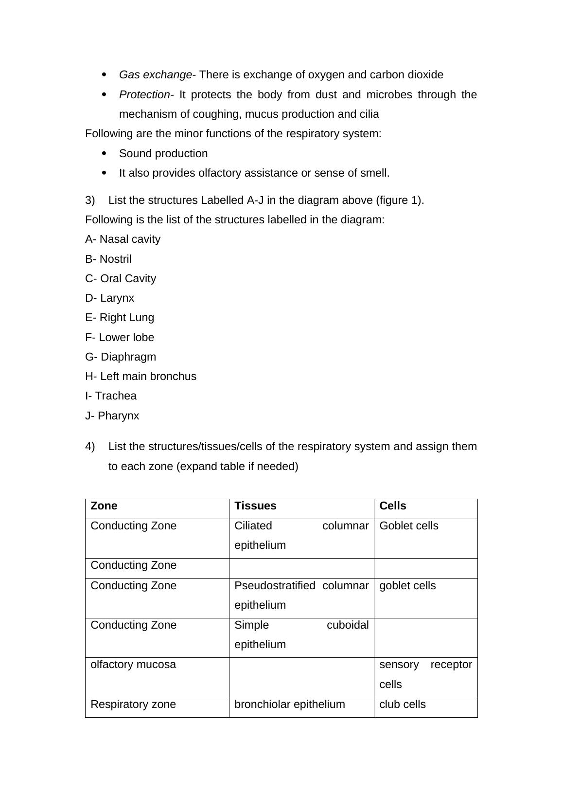 Fundamentals of Human Anatomy and Physiology: Respiratory System Worksheet_2