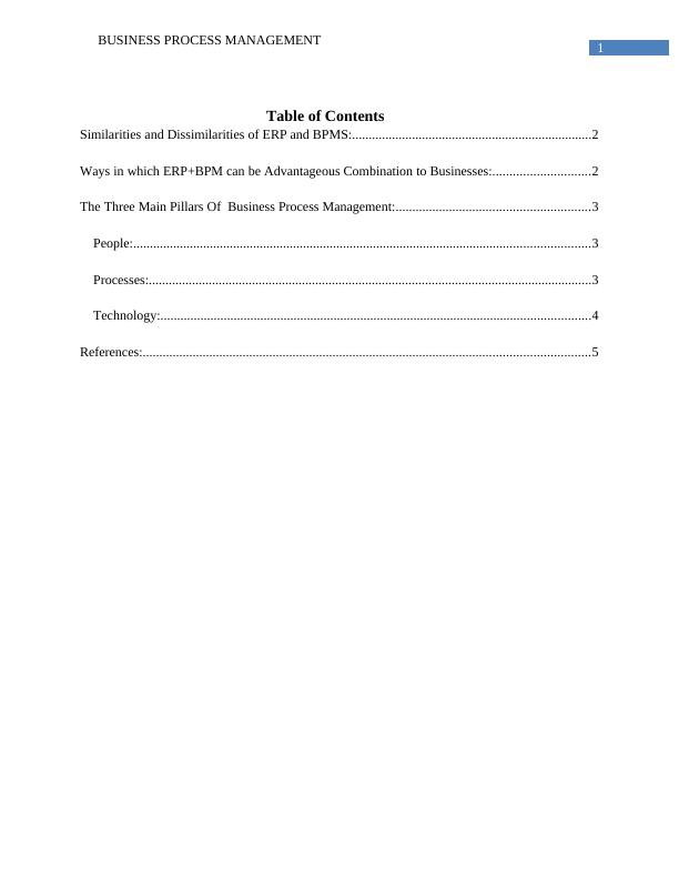 Report on Business Process Management (BPM)_2