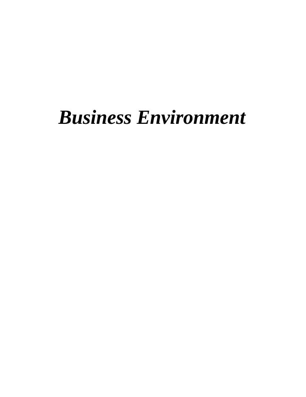 Business Environment Assignment - Primark (PPT)_1