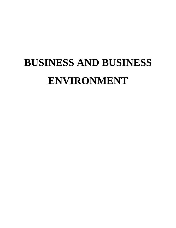 Business and Business Environment Assignment - JP Morgan Finance & Investment_1