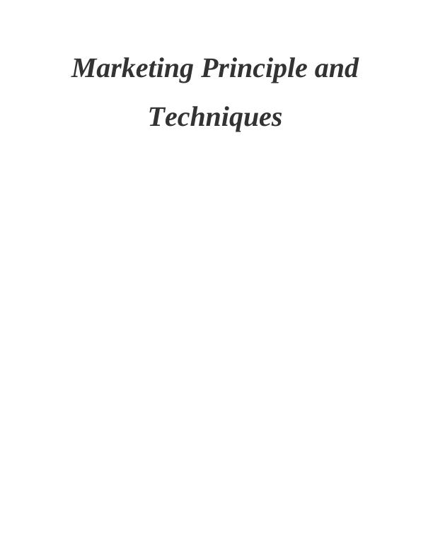 Marketing Principle and Techniques Assignment - Stylish Up company_1
