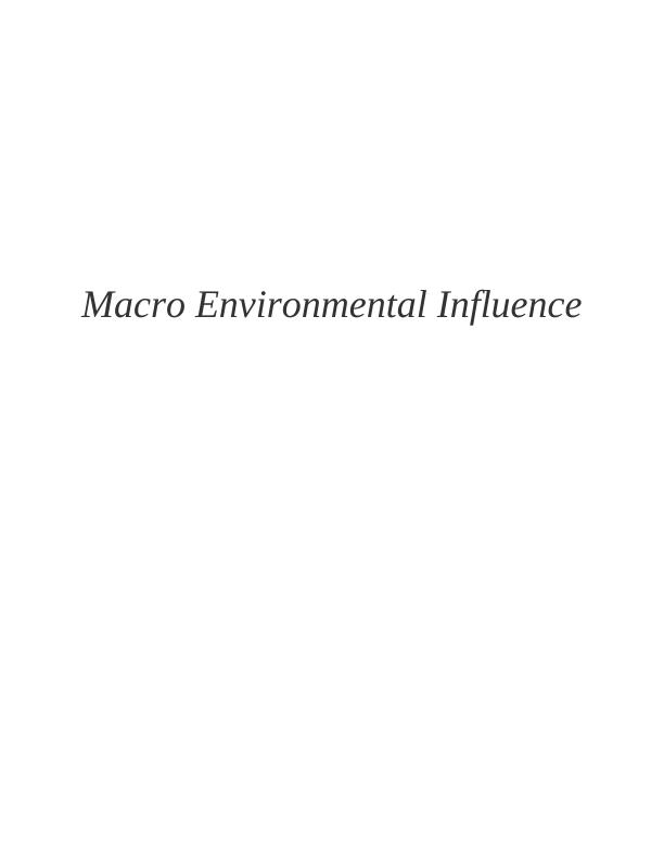 Macro Environmental Influence_1