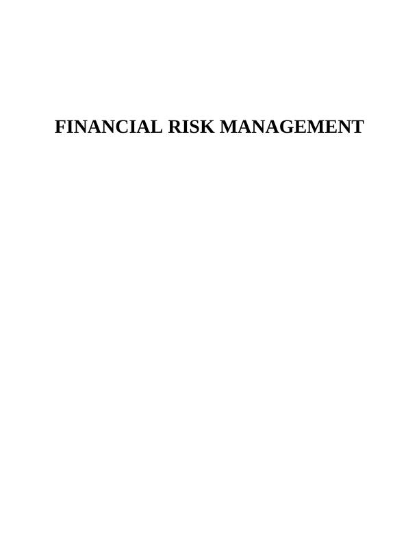 Financial Risk Management - Report_1