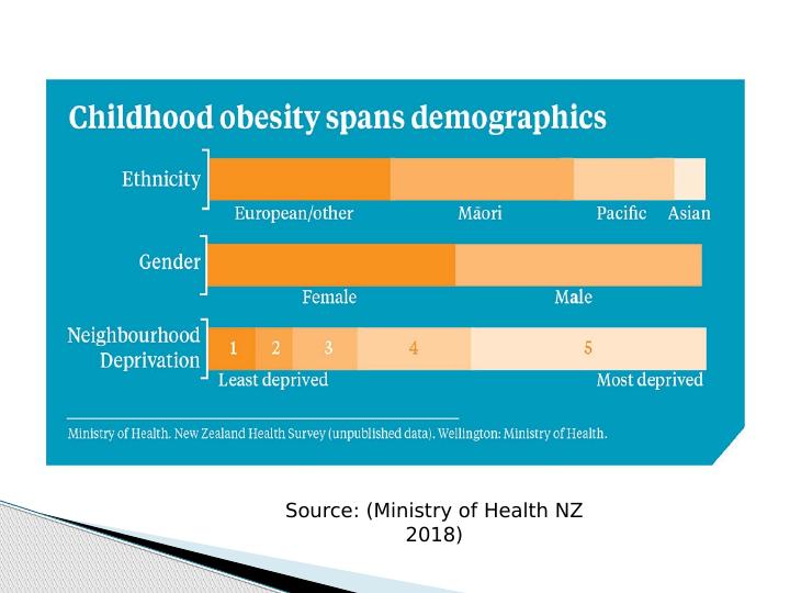 Childhood Obesity in New Zealand - Doc_3