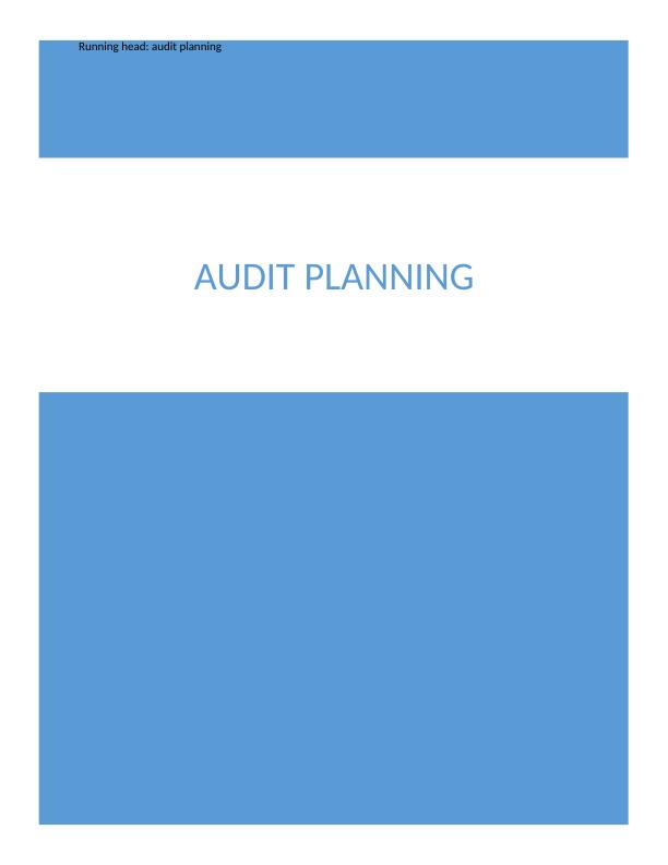 Audit Planning- Assignment_1