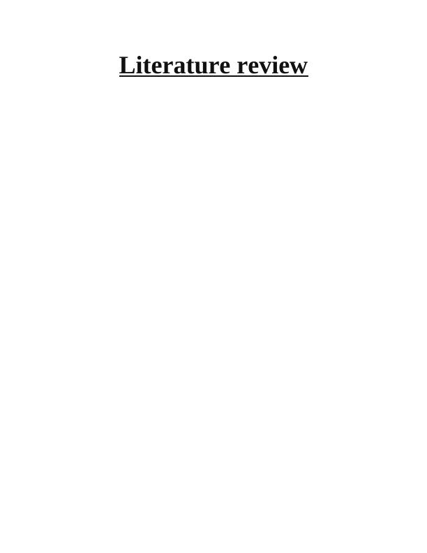 Literature Review on Vulnerability Management in Cyber Security_1