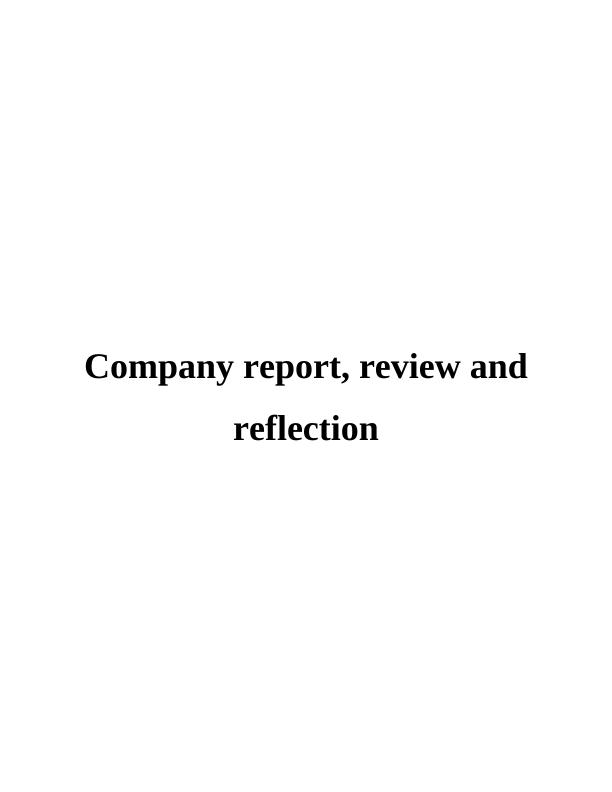 Essay on Company Report, Review and Reflection_1
