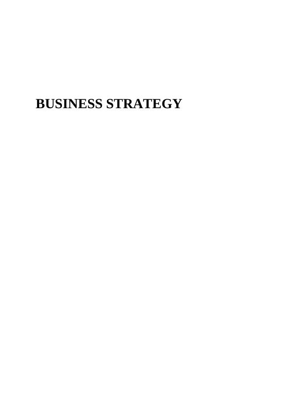 Business Strategy Plan Assignment Sample_1