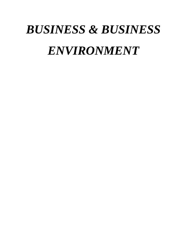 Business & Business Environment Doc - Aldi_1