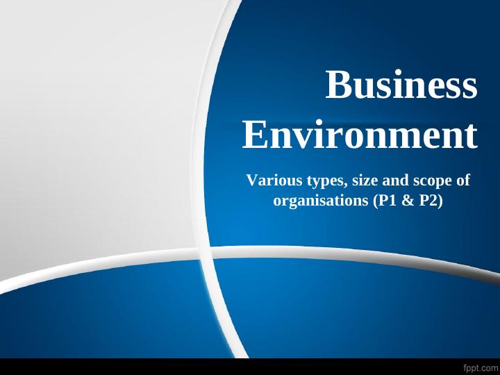 Business Environment Various types, size and scope of_1