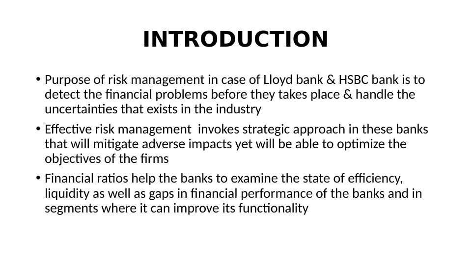 BK7019 bank financial  risk management_2