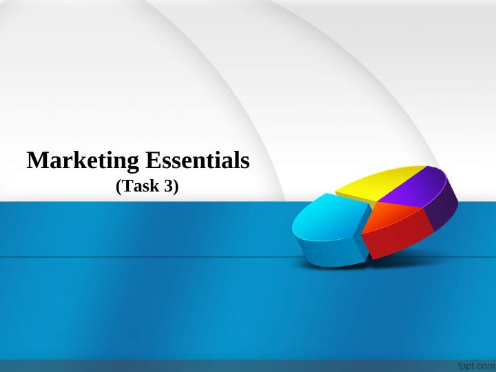 Marketing Essentials: TK MAX Marketing Plan_1