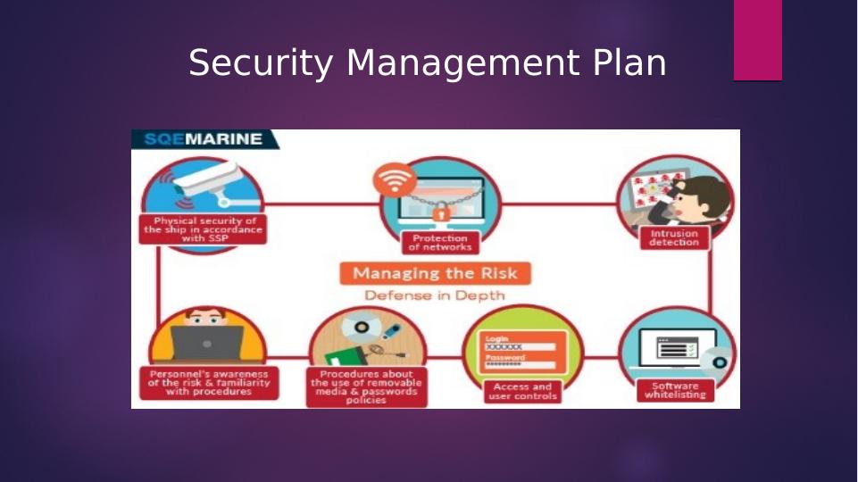 Security Management Plan Analysis Report_1