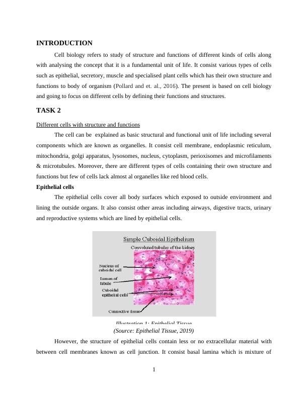 Cell Structure and Functions - PDF_3