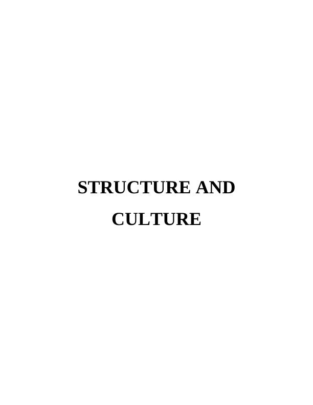 Company's Structure and Culture: Essay_1