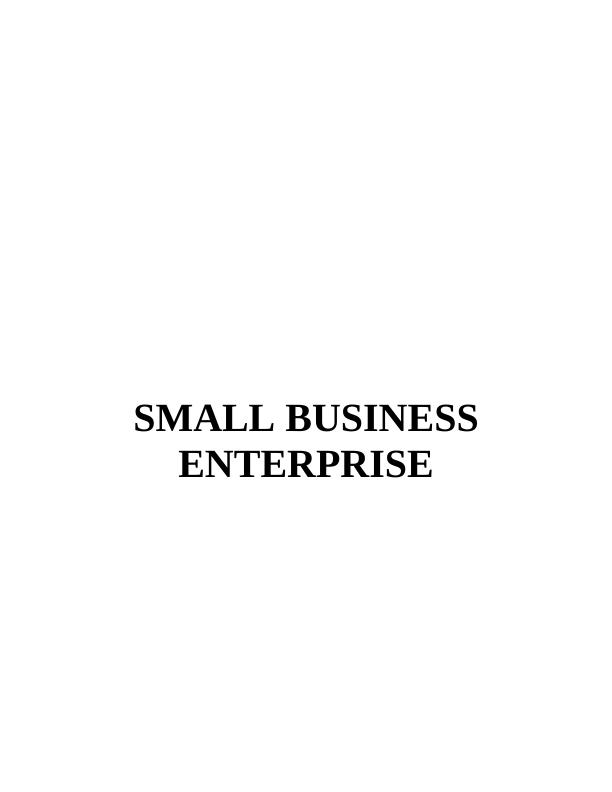 Small Scale Enterprise Report - Nisa Retail Limited_1