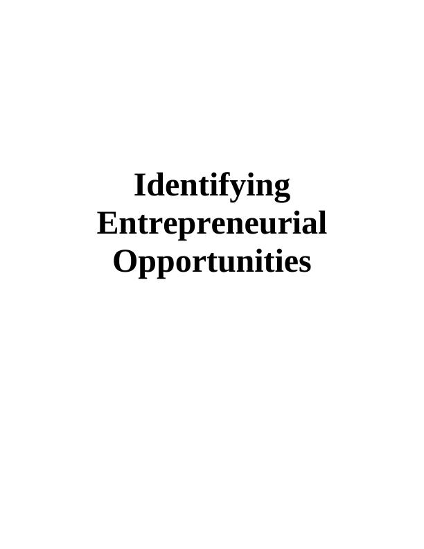 Sample Identifying Entrepreneurial Opportunities Assignment PDF_1