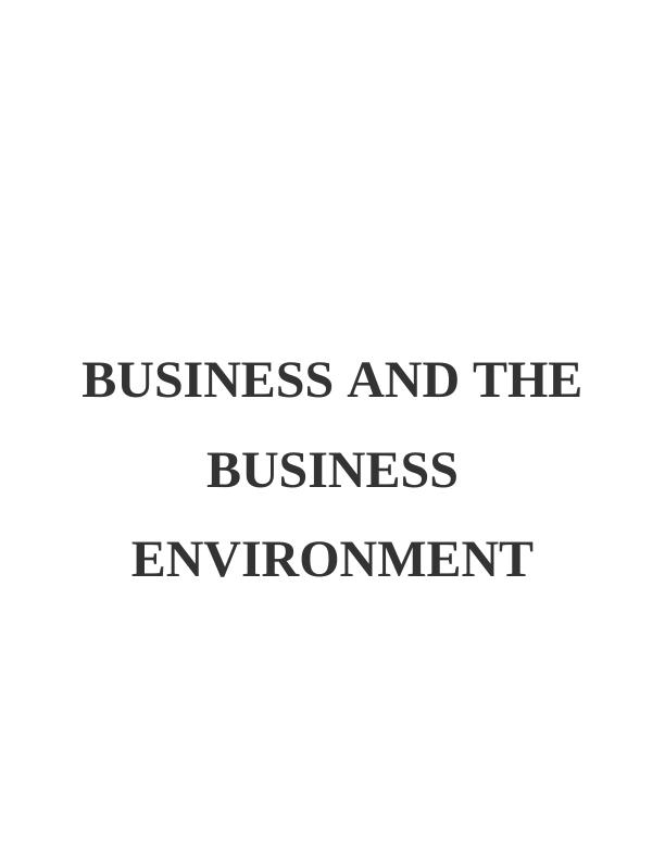 Business and The Business Environment - Report_1