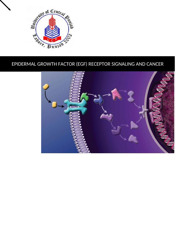 EPIDERMAL GROWTH FACTOR (EGF) RECEPTOR SIGNALING AND CANCER Introduction_1