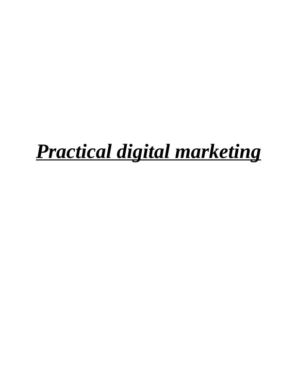 Practical Digital Marketing: Importance and Strategies_1
