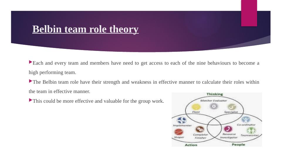 Belbin Team Role Theory_4