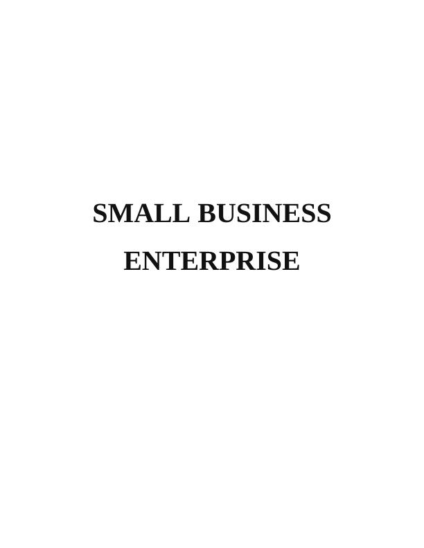 TASK 11 1.1 Strengths and weaknesses of small business enterprise_1