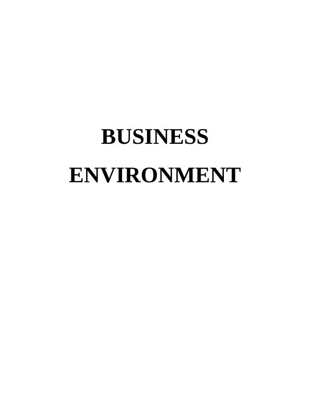 Report On Business Environment | Primark_1