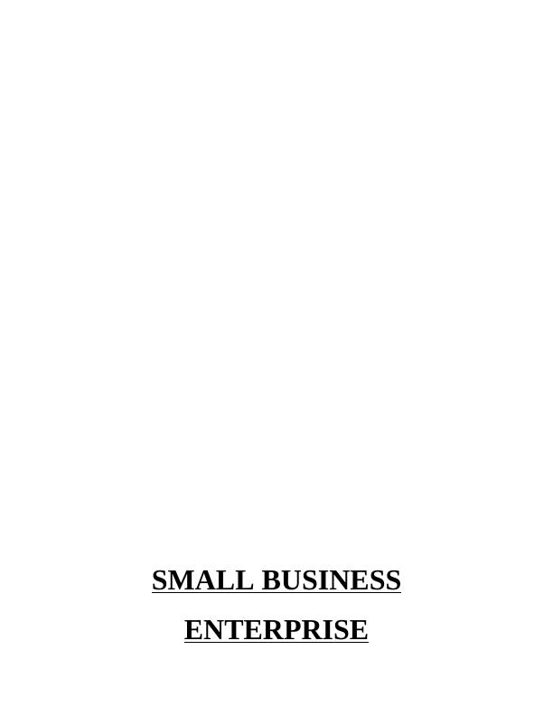 Small Business Enterprise Assignment ( SBE )_1
