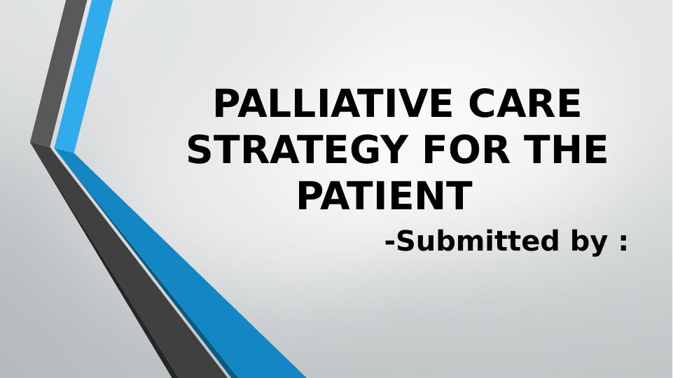 Palliative Care Strategy for the Patient_1
