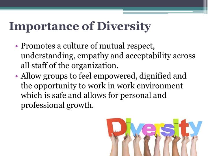 Workplace Diversity Policy 2022 Power Point Presentation_4