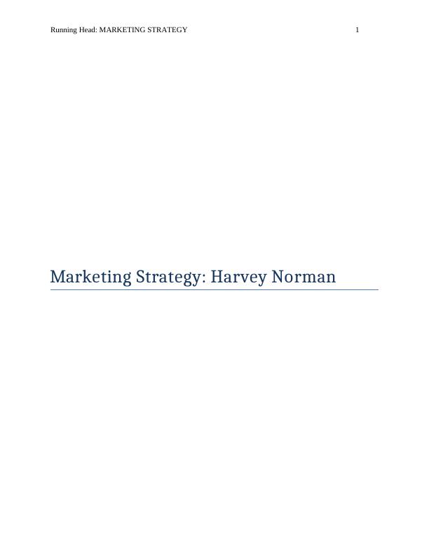 Company Description and Marketing Strategies_1