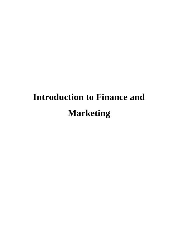 Finance and Marketing Report - Vodafone_1