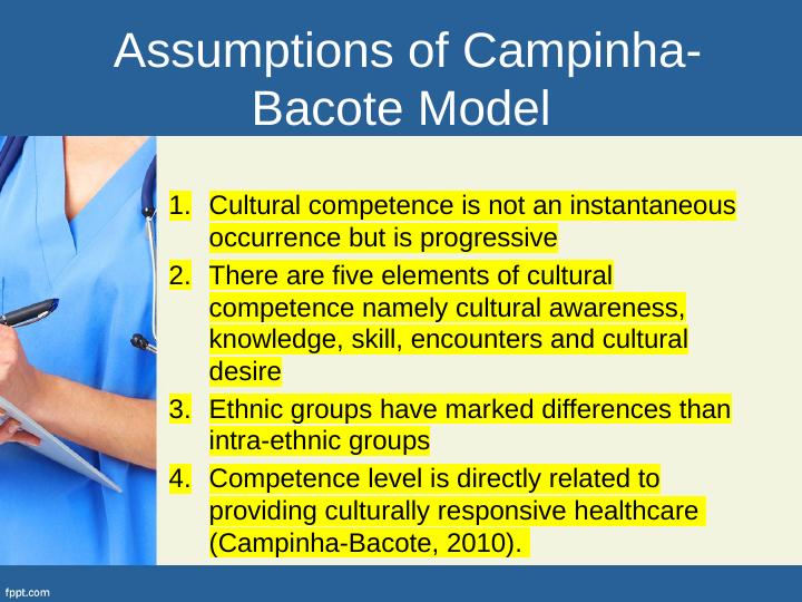 Developing Cultural Competence In Nursing