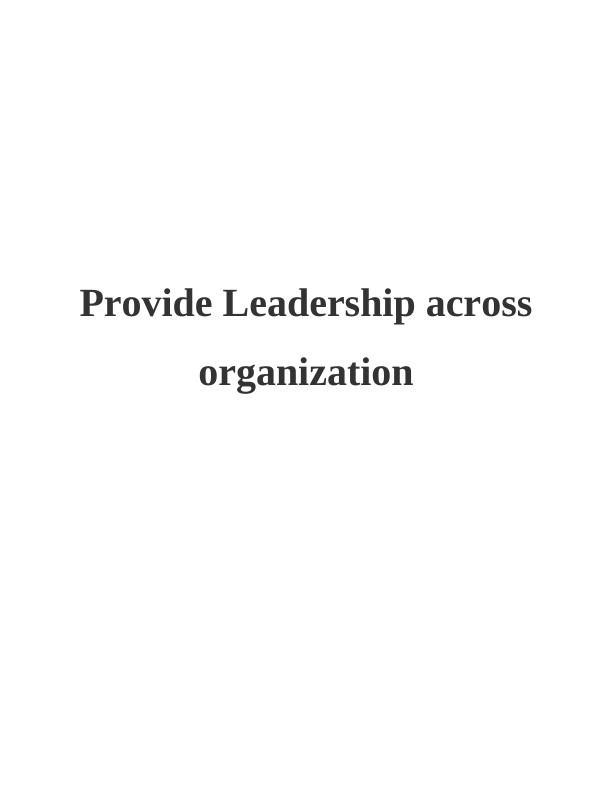 Provide Leadership across organization Assignment_1