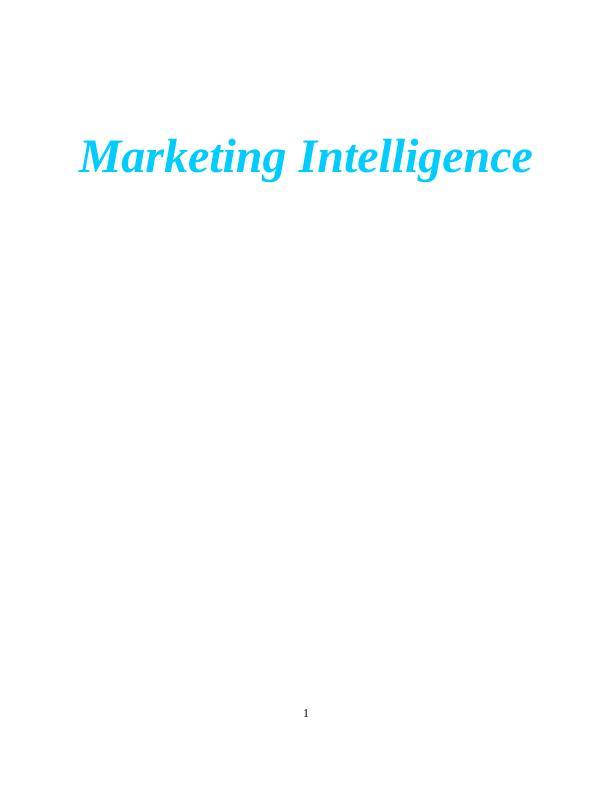 Marketing Intelligence Assignment Samples (Doc)_1