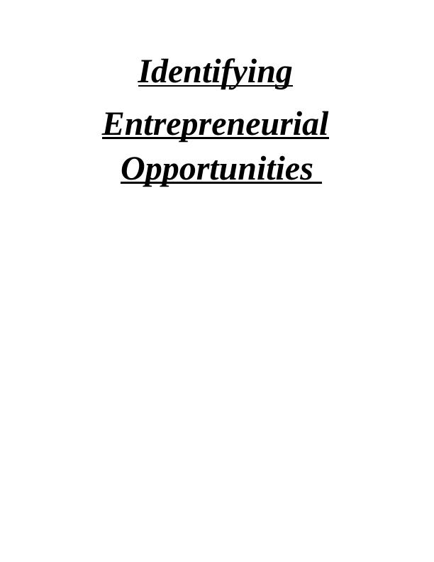 Identifying Entrepreneurial Opportunities - NEROZET_1