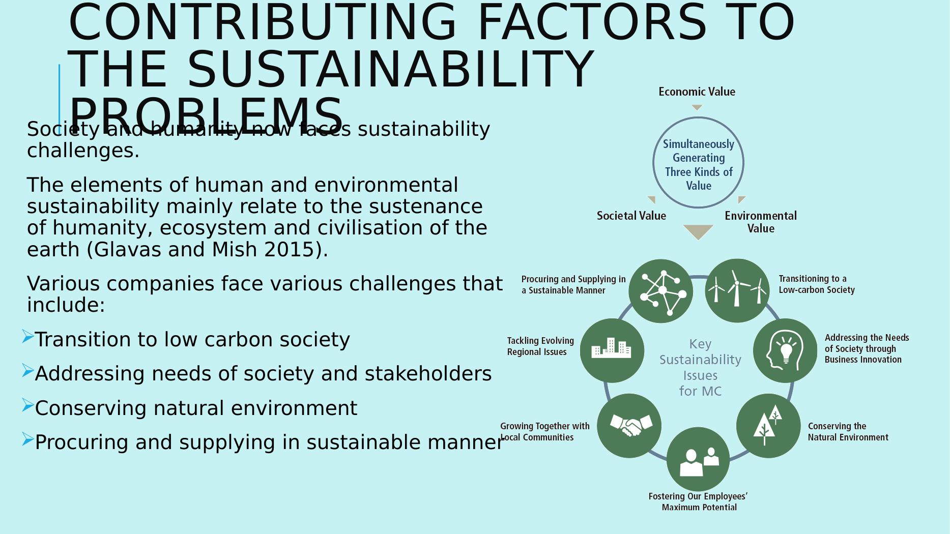 case study on sustainability initiatives