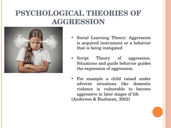 General Aggression Model and Development of Aggression_3
