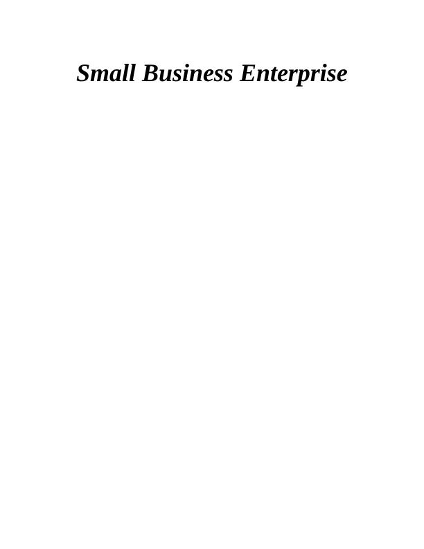 Small Business Enterprise INTRODUCTION 1 TASK 11_1