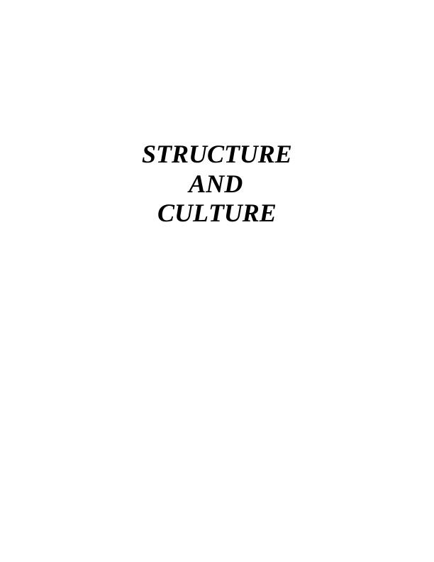 Structure and Culture Assignment_1