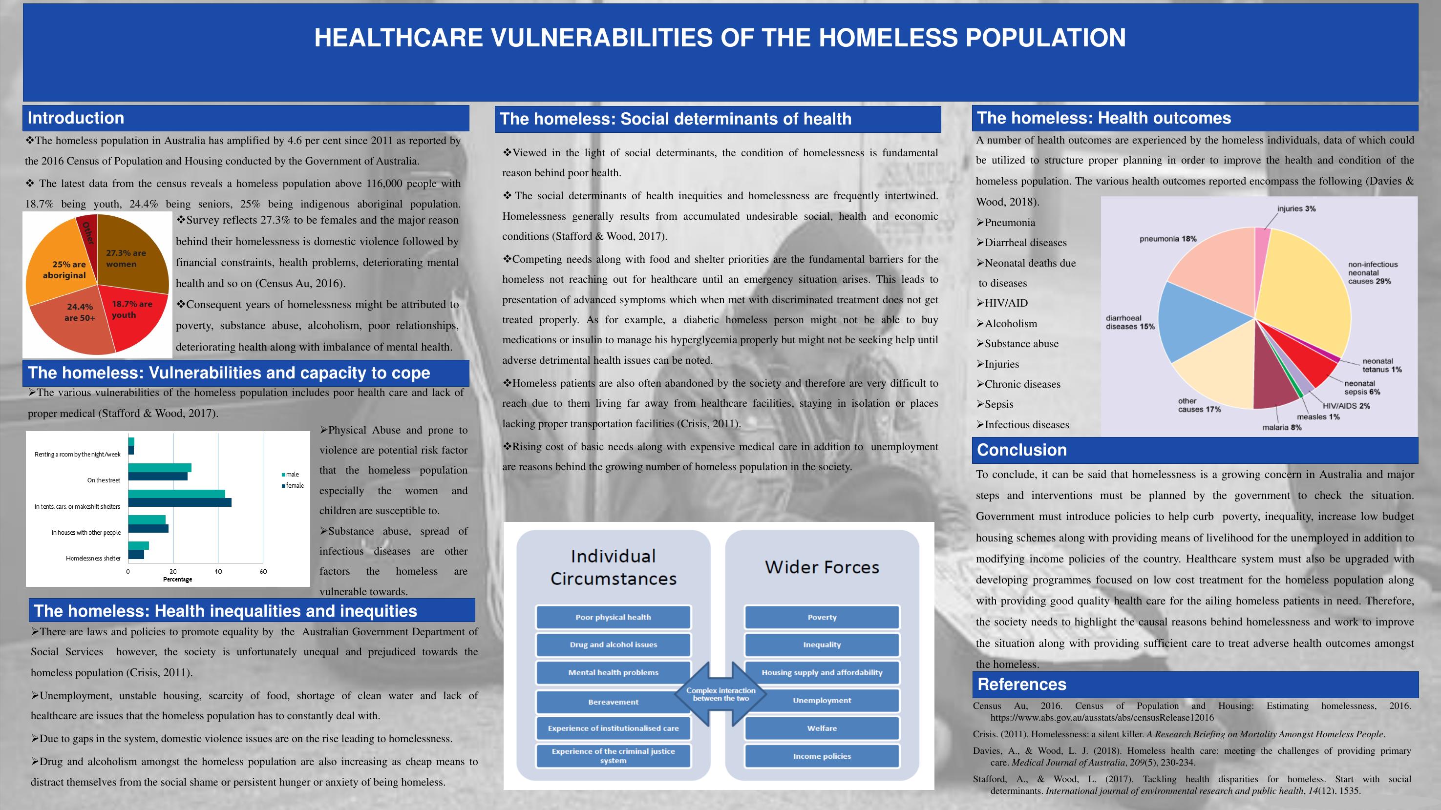 Healthcare Vulnerabilities Of The Homeles Population Presentation 2022_1