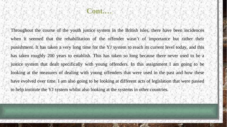 Reflective Professional Practice in Youth Justice System_6